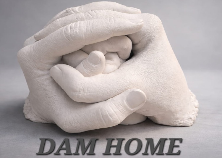 Dam Home Modena logo